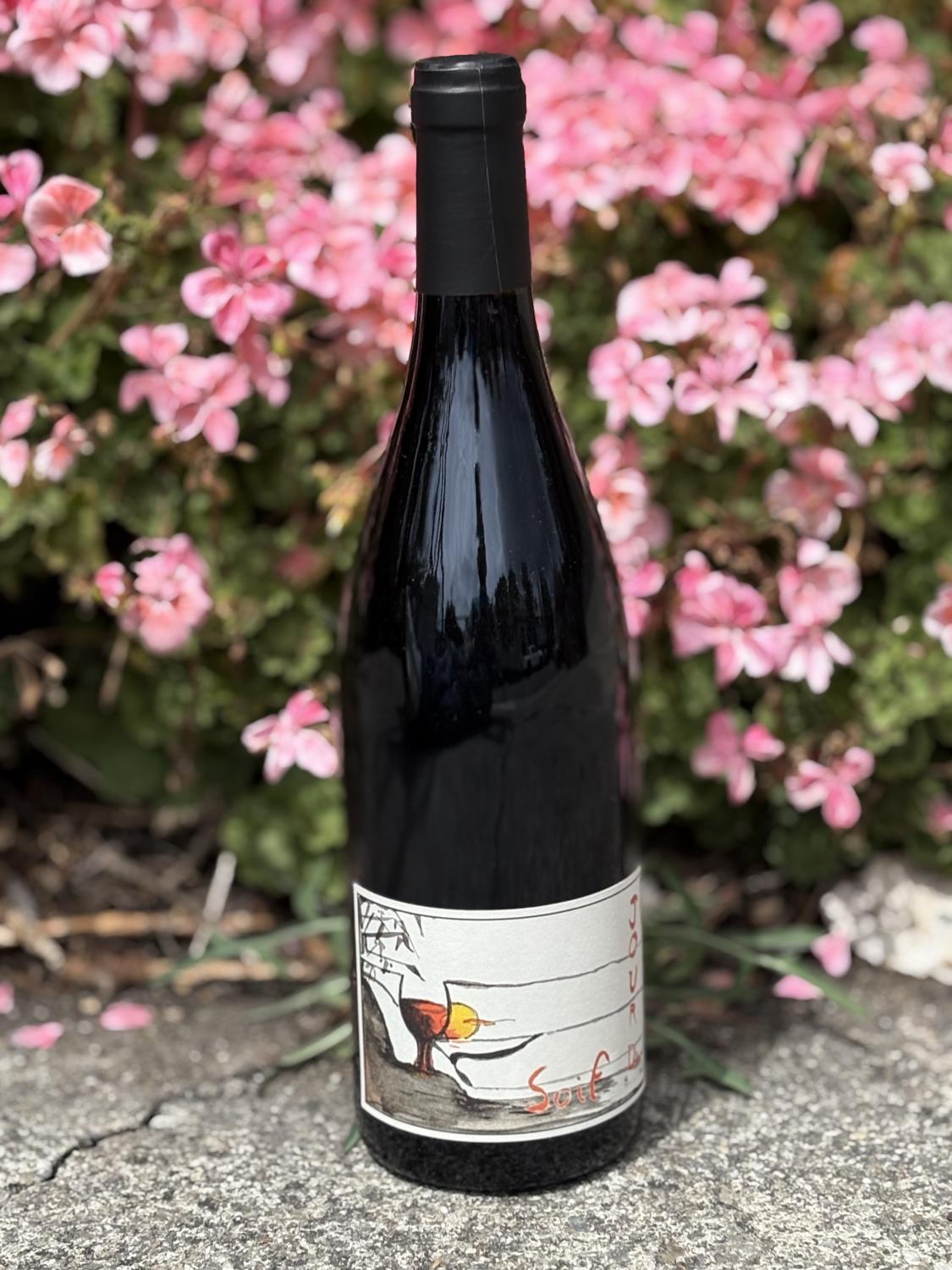 2024 Gauthier Jour de Soif Bourgueil