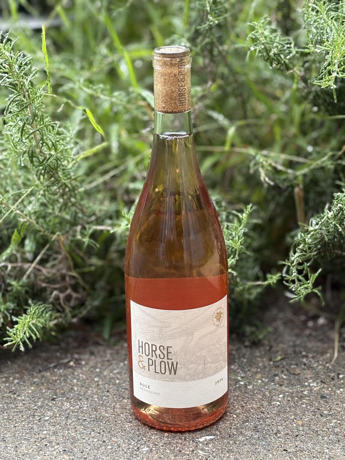 2024 Horse & Plow Rose