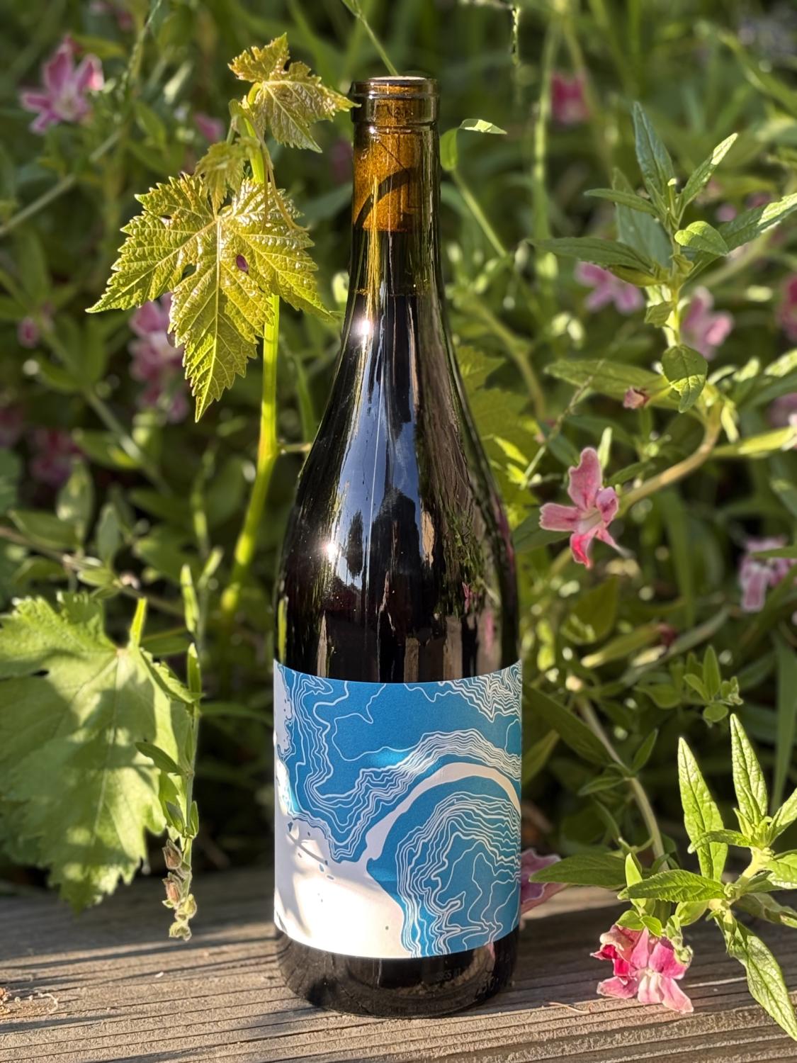 2024 Lioco Pinot Noir