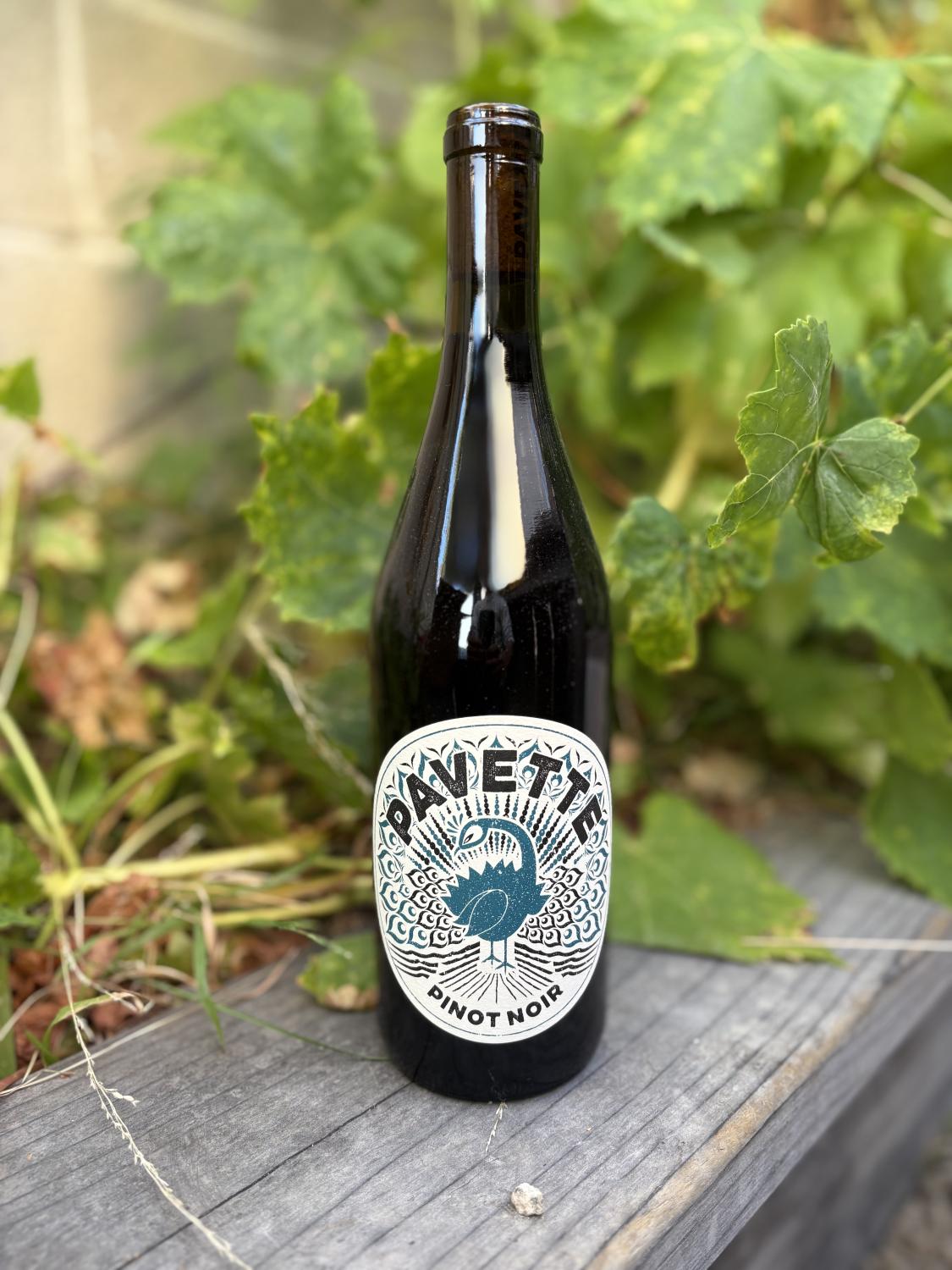 2024 Pavette Pinot Noir
