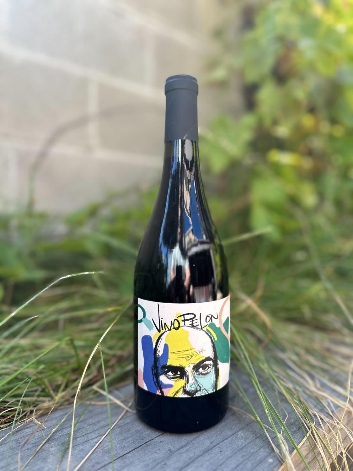 2024 Vinos Pijoan Vinos Pelon Field Blend