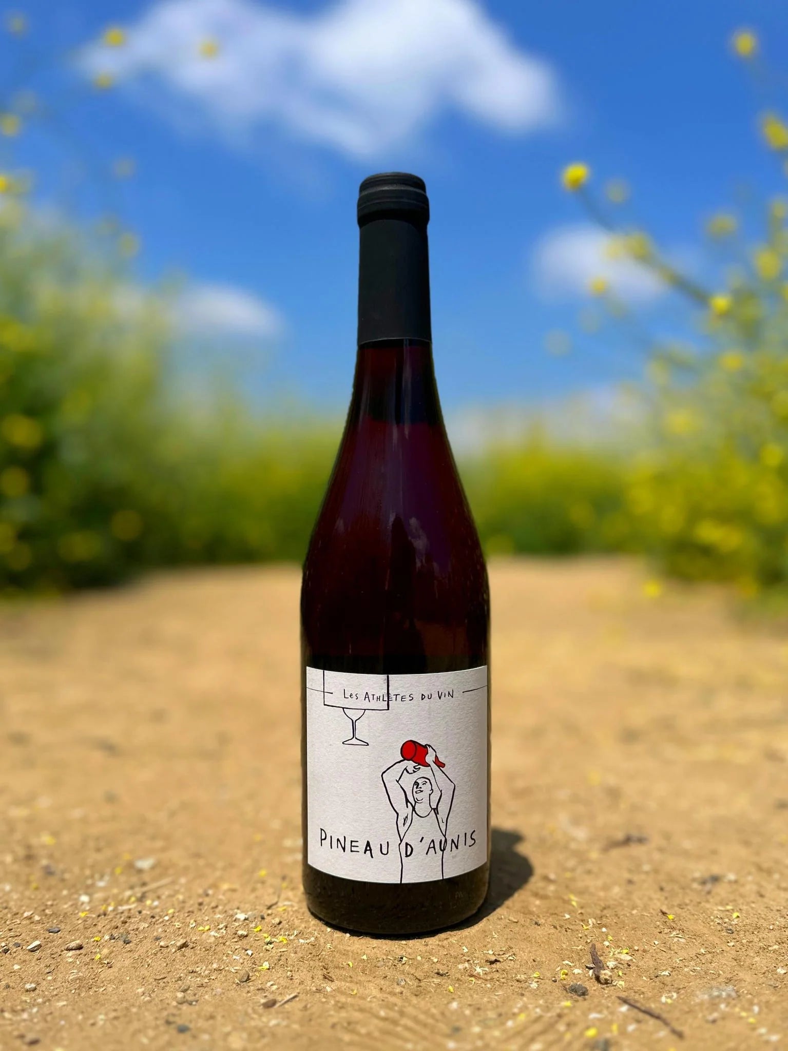 Les Athlètes du Vin @ Vine St. Friday, June 20th