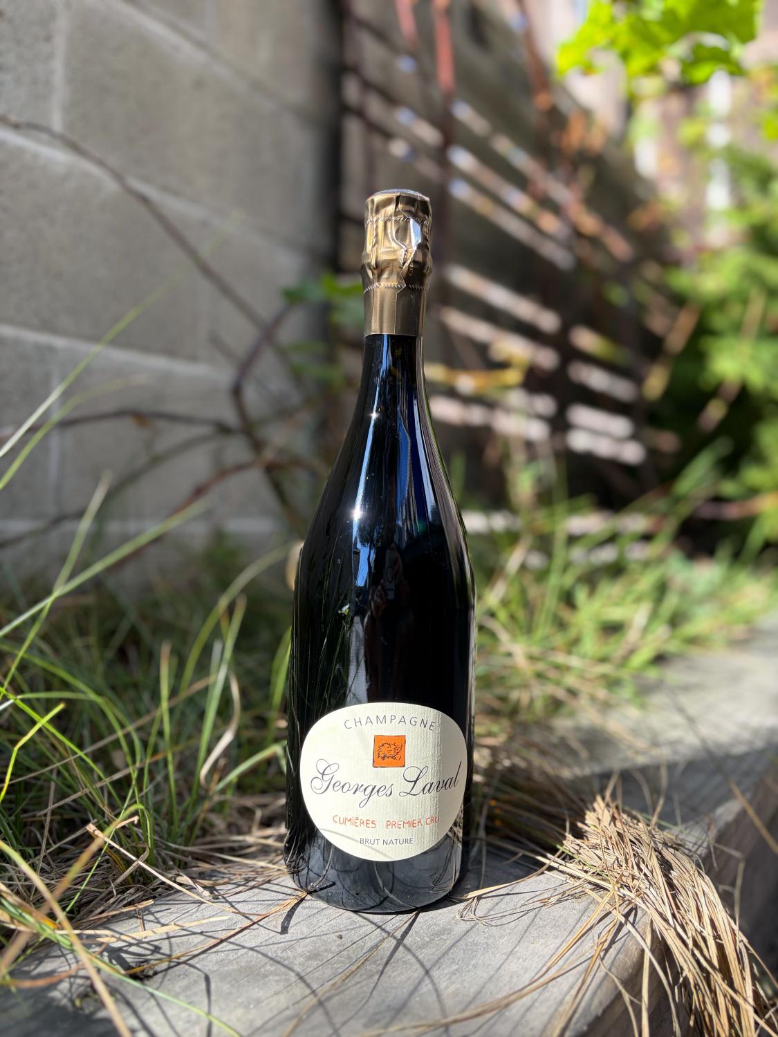 Georges Laval Cumieres 1er Brut Nature Champagne