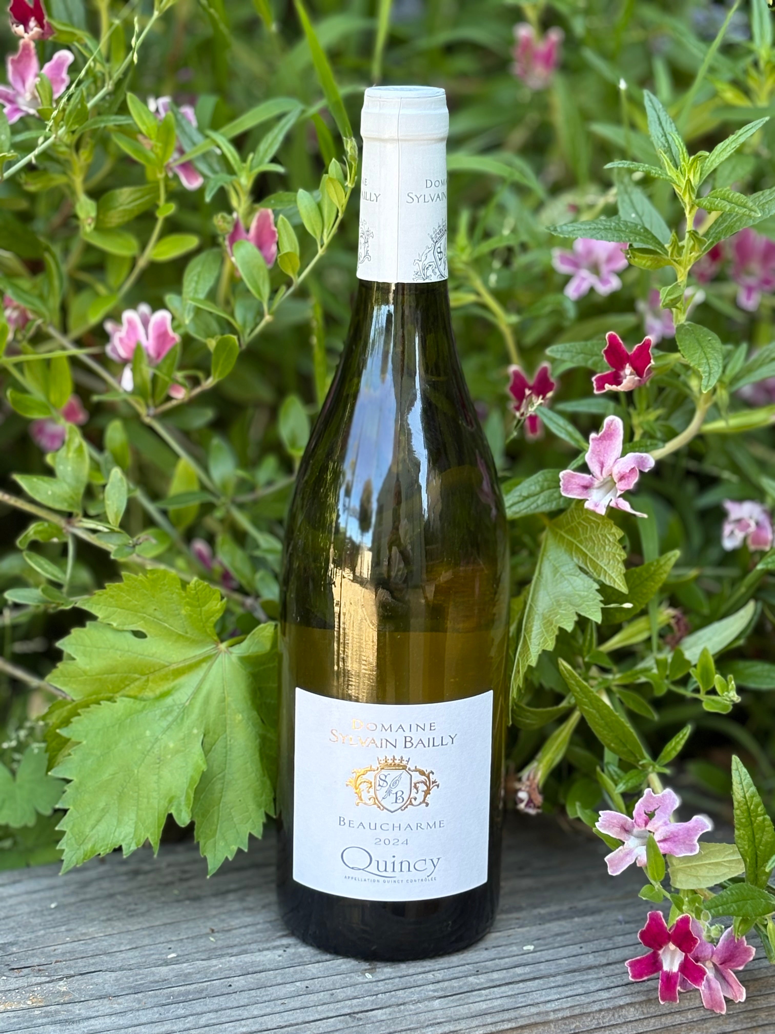 2024 Domaine Sylvain Bailly Beaucharme Quincy