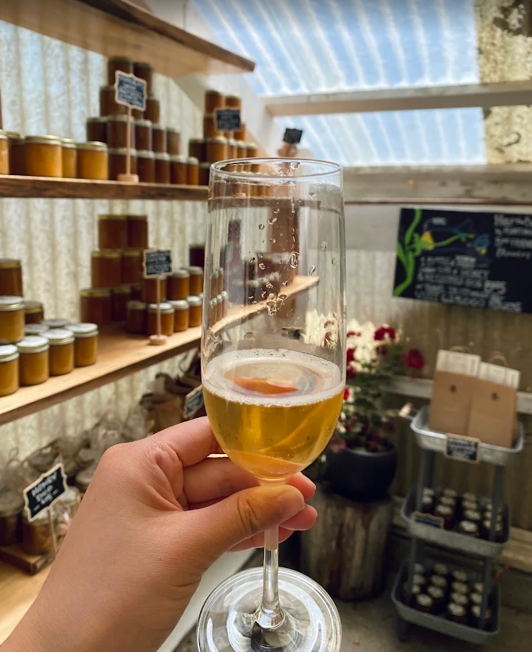 Heidrun: Locally made Champagne Method Honey Wine @ College Ave. Thursday, June 11th