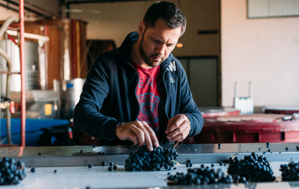 Olivier Riviere's Wines of Rioja & Bordeaux @ College Ave. Thursday, August 6th