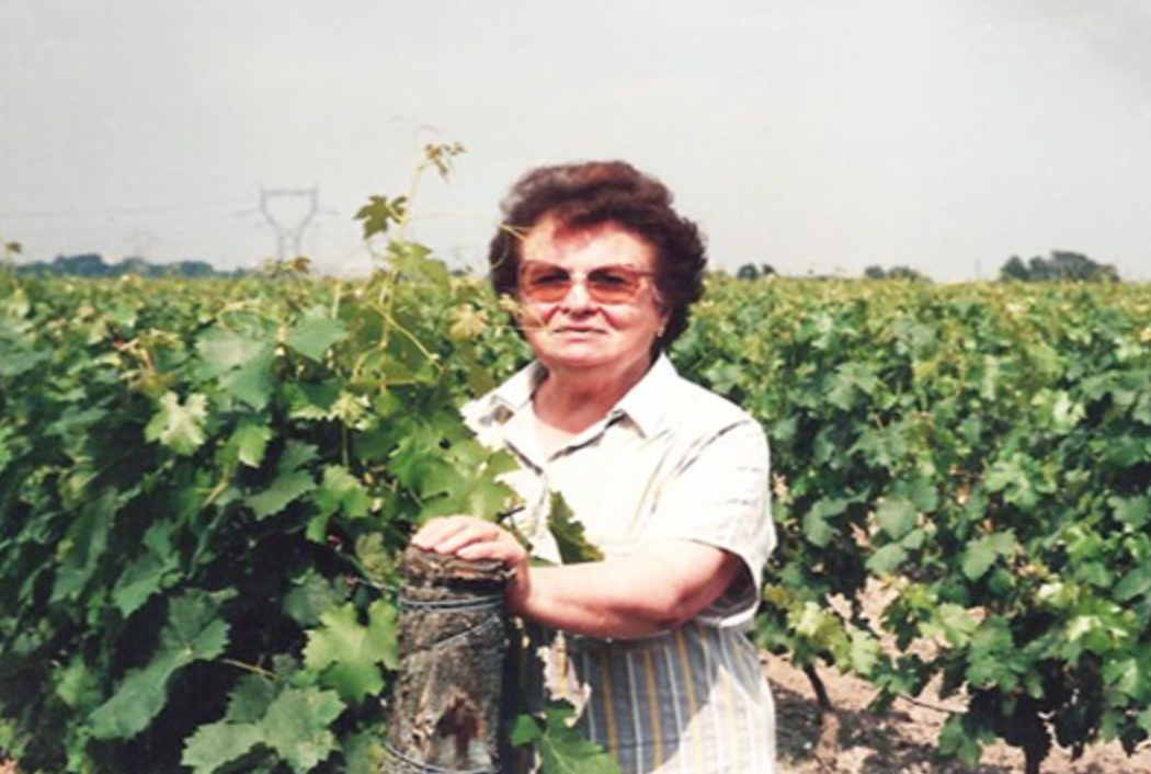 Wines of the Loire Valley's Olga Raffault @ Vine St. Friday, September 25th