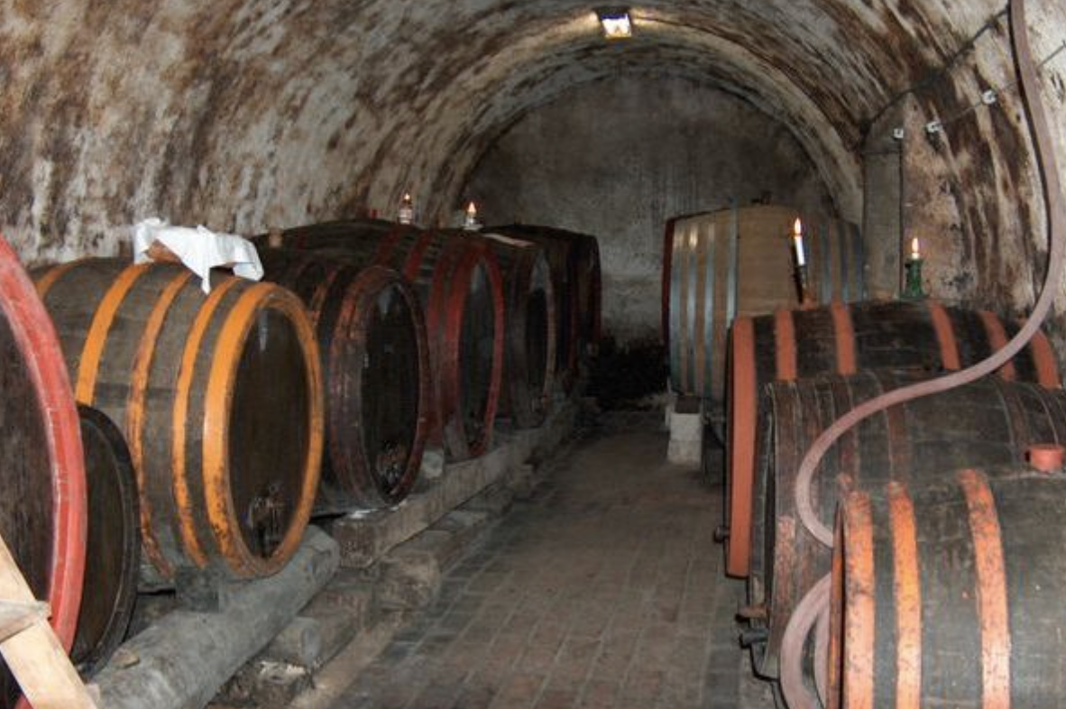 Wines of Hungary @ College Ave. Thursday, October 22nd