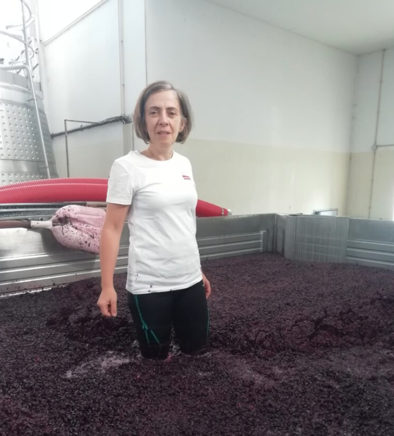 The Soul of Portugal: Dão @ Vine St. Friday, August 15th