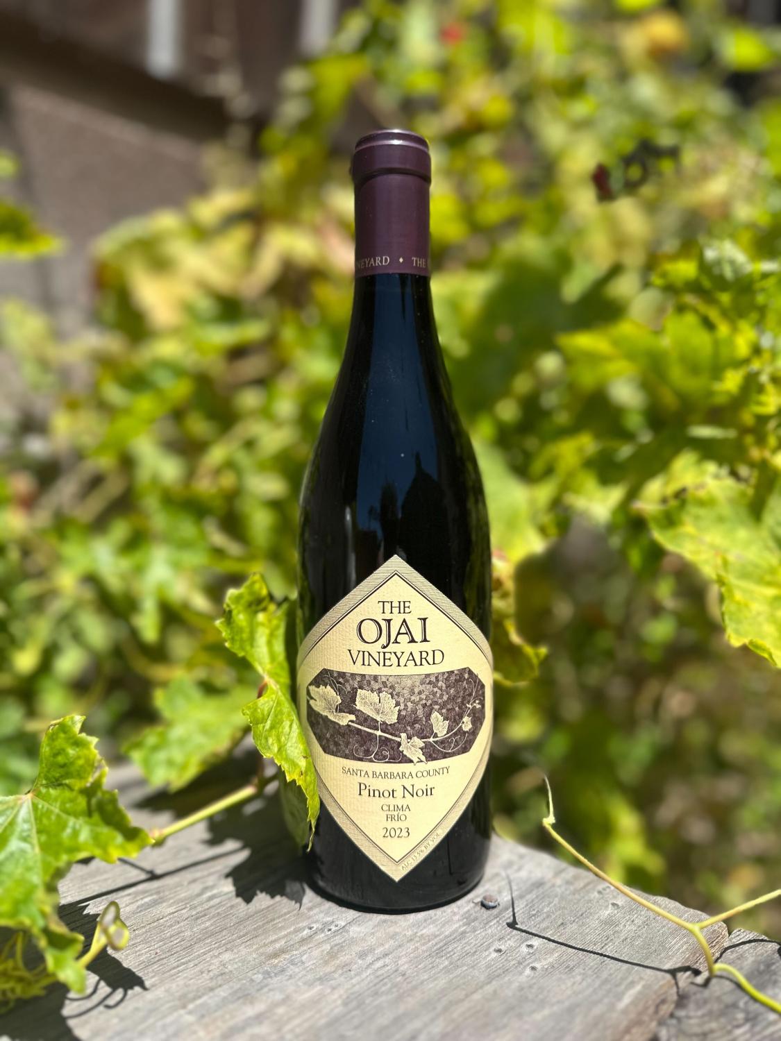 The Ojai Vineyard Pinot Noir Clima Frio