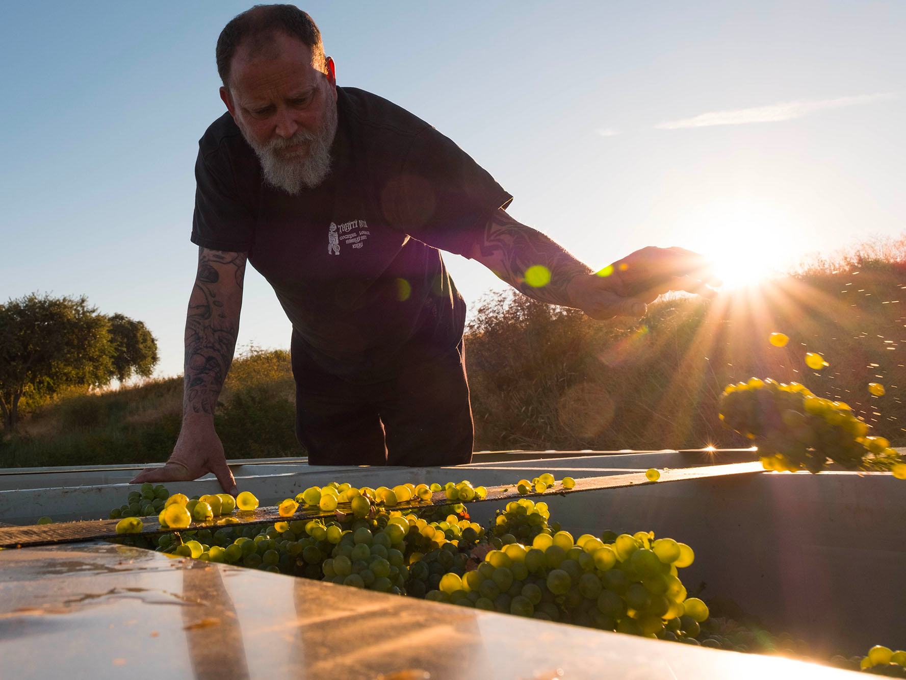 Hella Chenin Tasting with Craig Haarmeyer @ Vine St. Friday, May 2nd