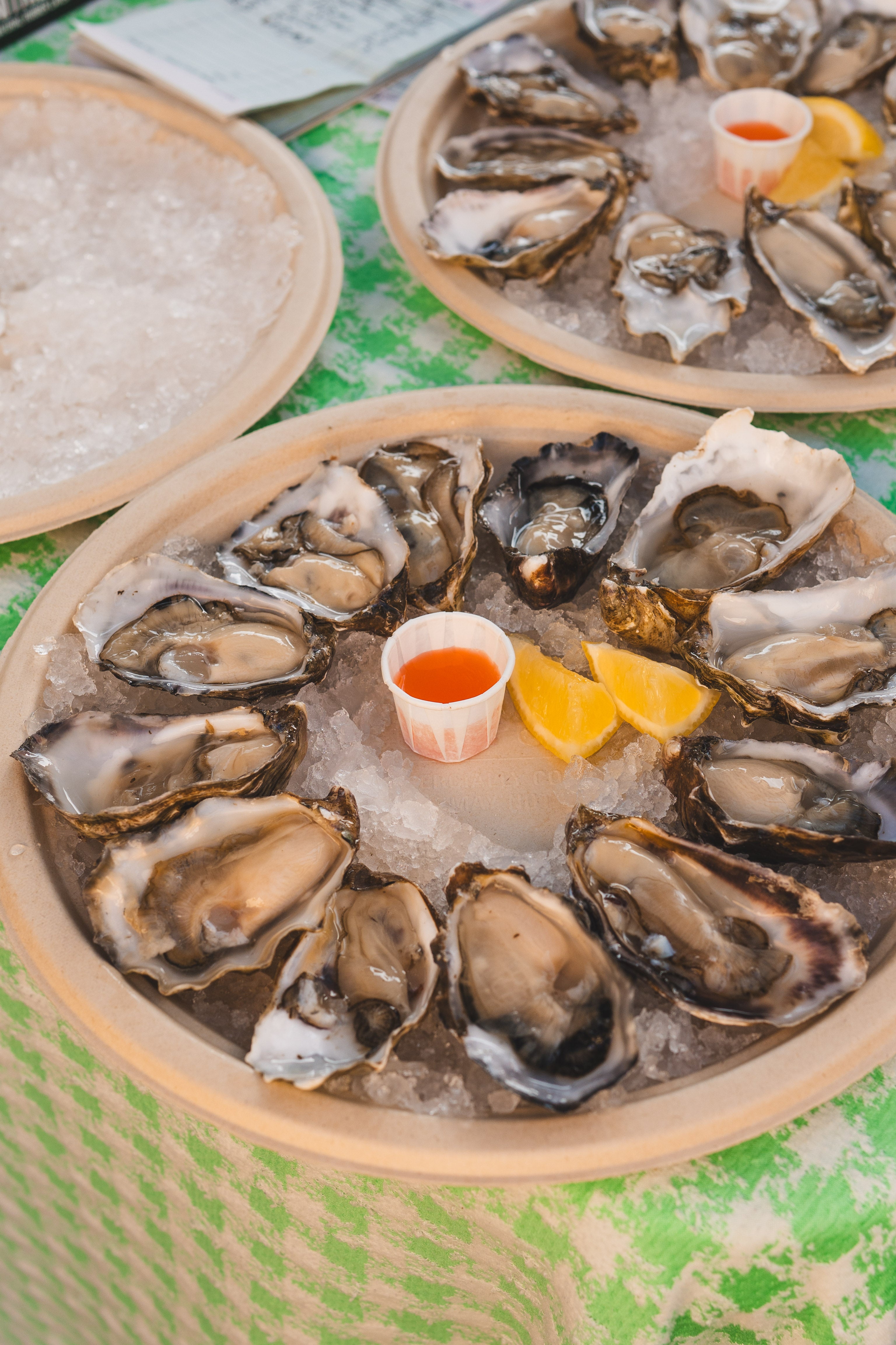 Lo-Fi Oysters, Live Jazz & Wine @ Vine St. Saturday, July 18th