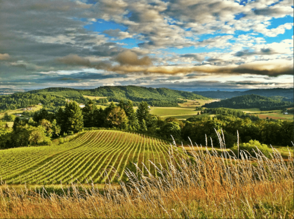 Oregon on the Mind: Willamette Valley @ College Ave. Thursday, April 24th