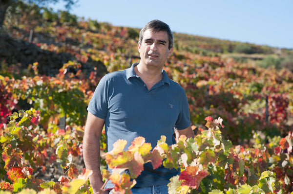 Portugal's Luis Seabra Wines @ Vine St. March 29th