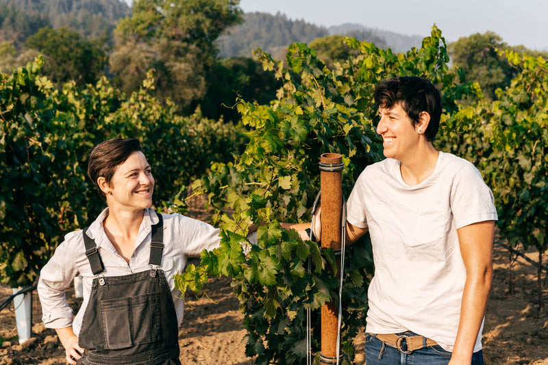 Taste the Wine of Birdhorse @ Vine St October 6