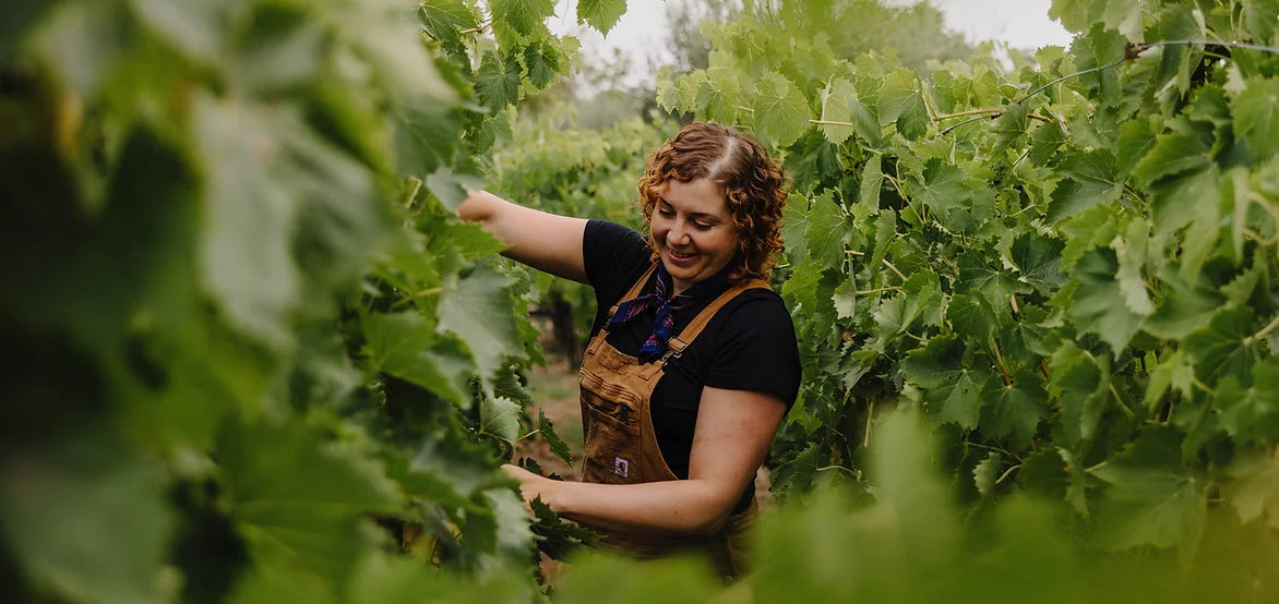 Ruby Blanca Wines w/ Sabrina Tamayo @ College Ave. April 11th