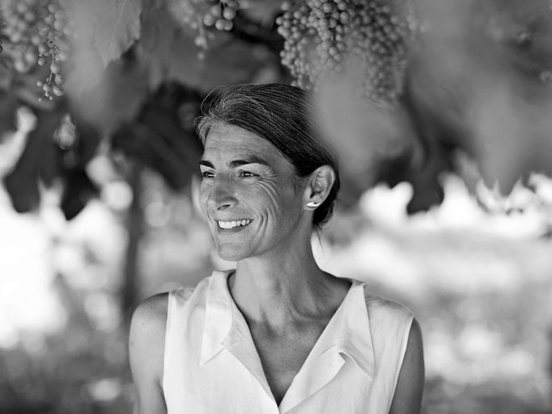 Taste the Wines of Foradori @ Vine September 29