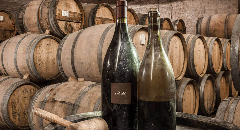 Slovenian Wines of Kabaj Tasting @ Elmwood July 12th - Vintage Berkeley 