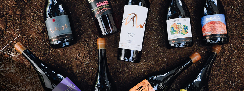 The Chilean Wines of Maturana @ Elmwood June 14th