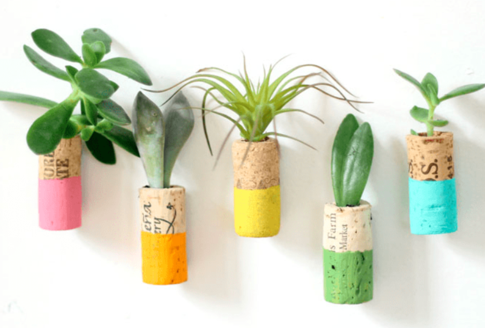 Wine + Crafts with Rachael Porterfield of Vinifera Wines @ College Ave. Thursday, March 26th