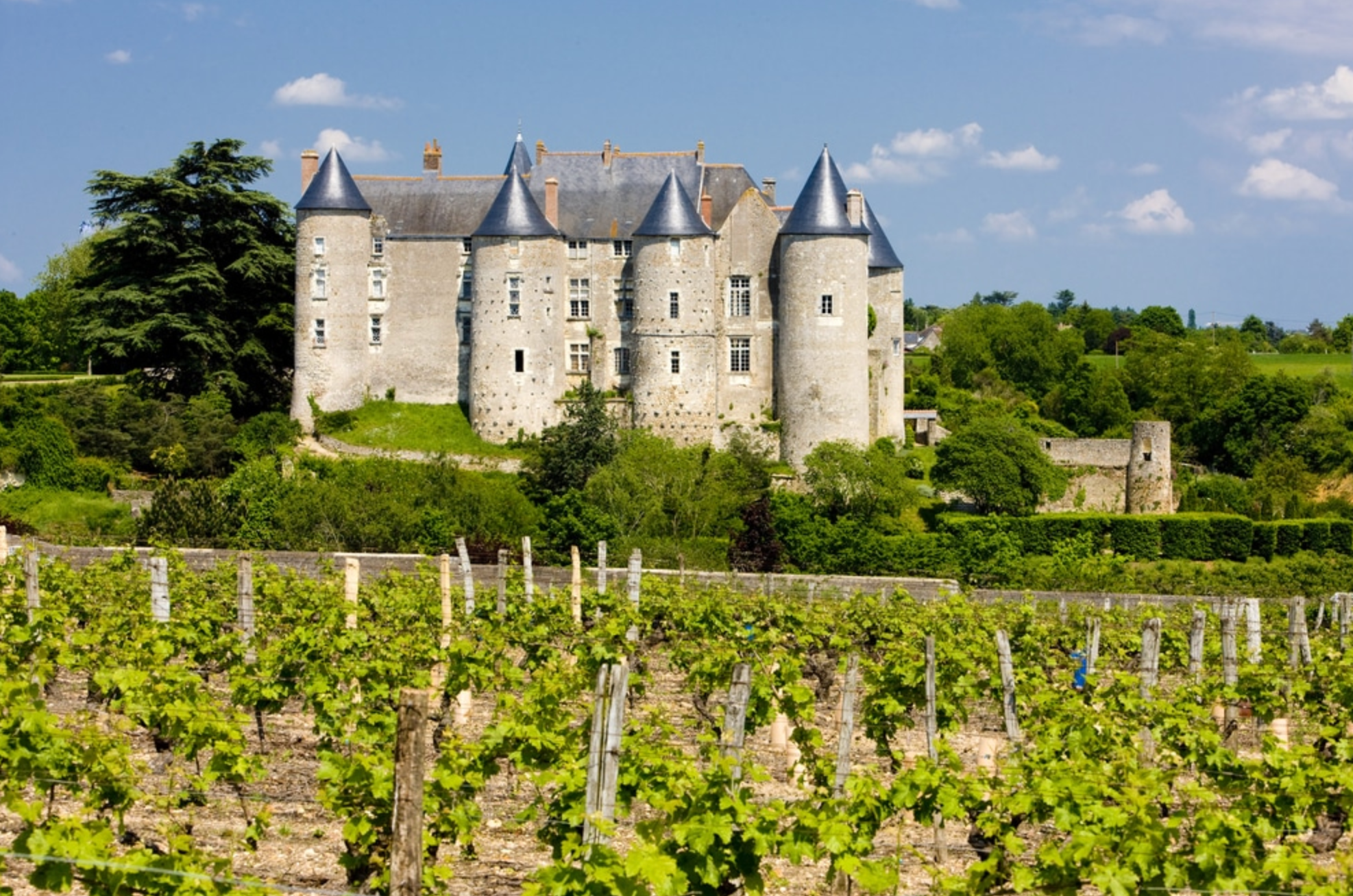 Exploring the Loire @ Solano Cellars Friday, August 15th