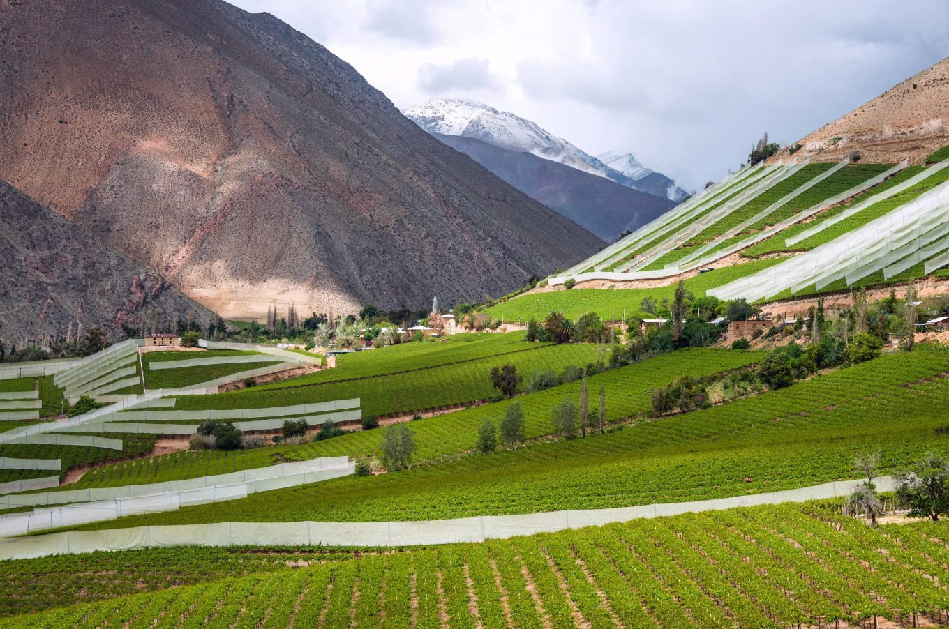From the Andes to the Ocean: Three Valleys of Chile @ College Ave. Thursday, October 9th