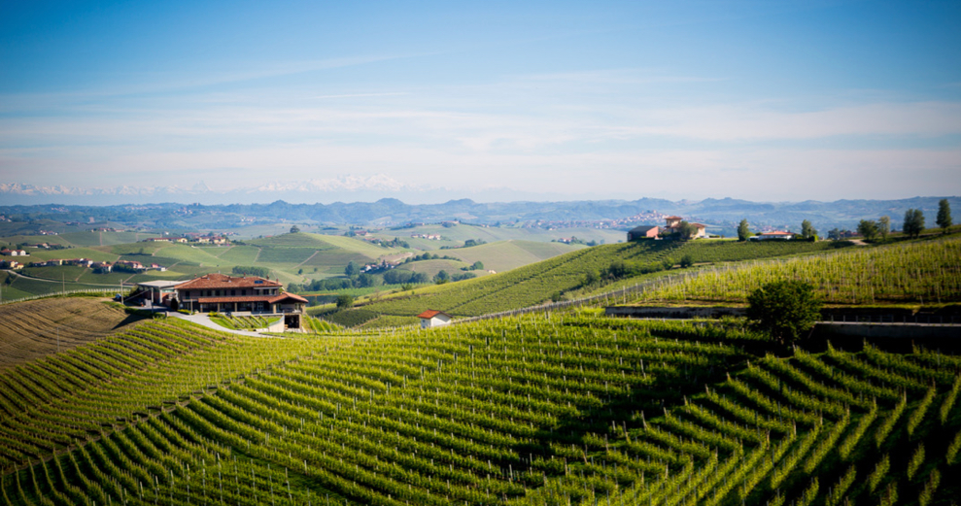 Nebbiolos Across Italy (including Barolo & Barbaresco) @ College Ave. Thursday, December 11th