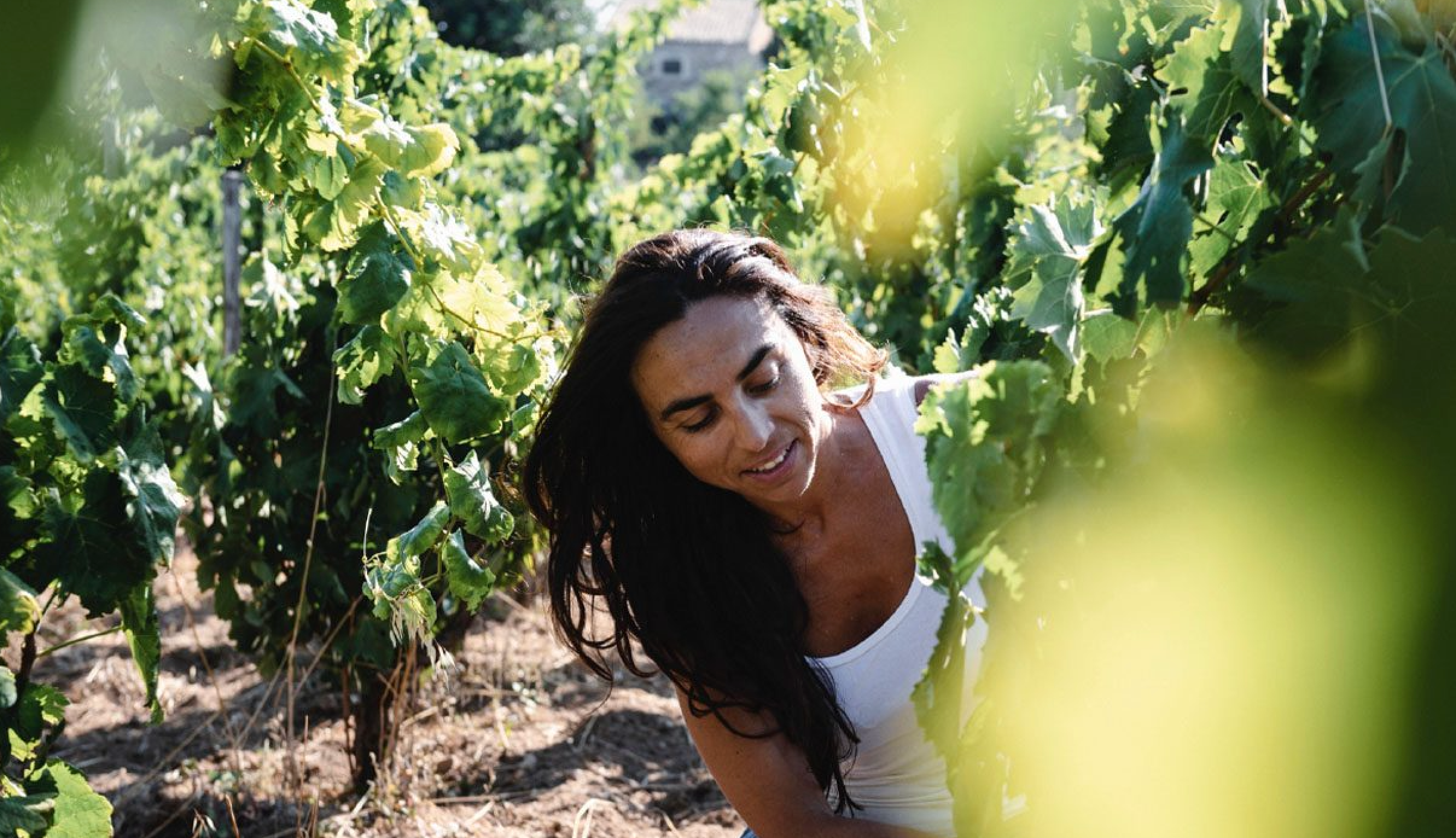 Queen of Sicily: The Wines of Ariana Occhipinti @ Vine St. Friday, March 27th