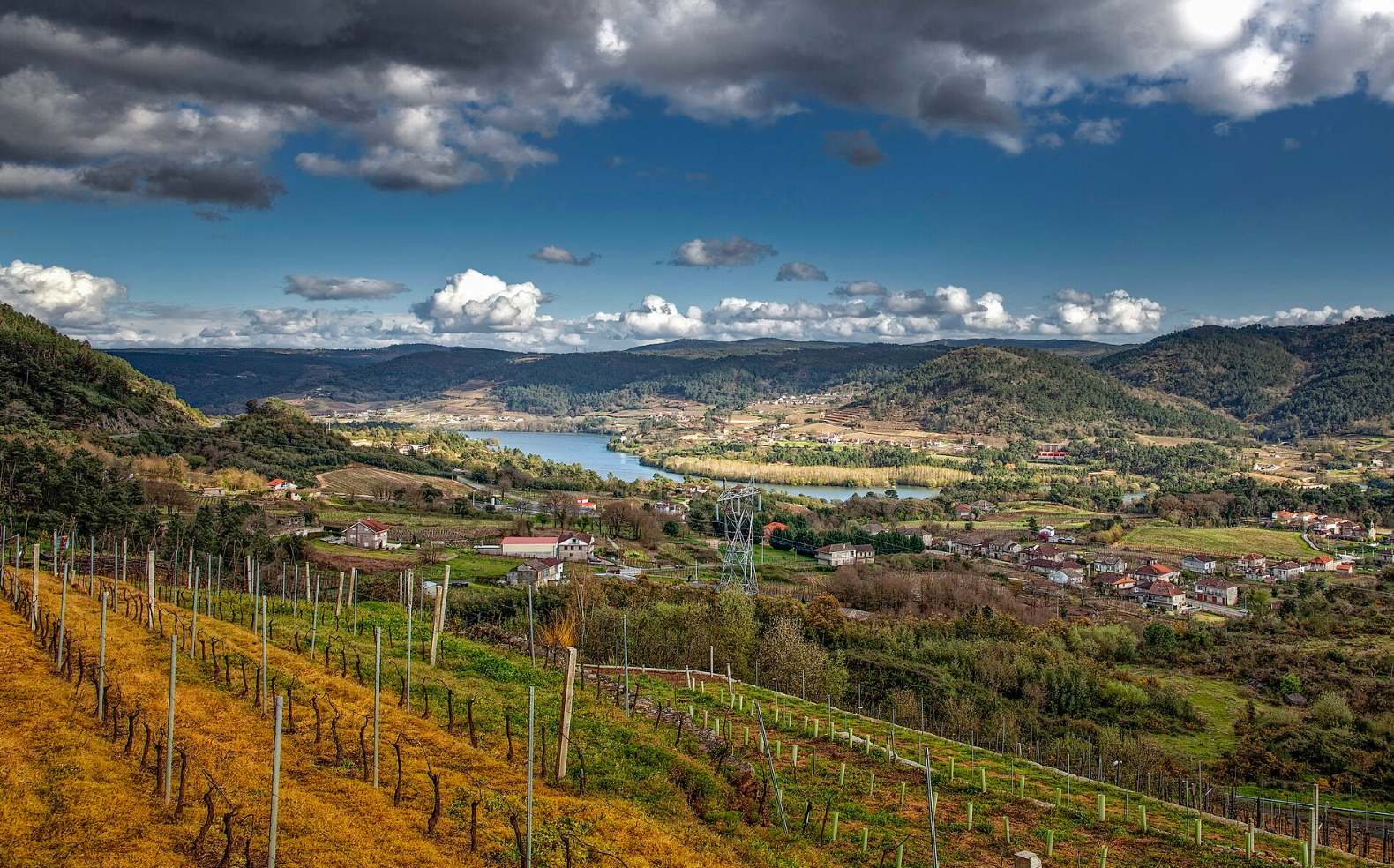 Mencía & the Wines of Galicia @ College Ave. Thursday, September 3rd