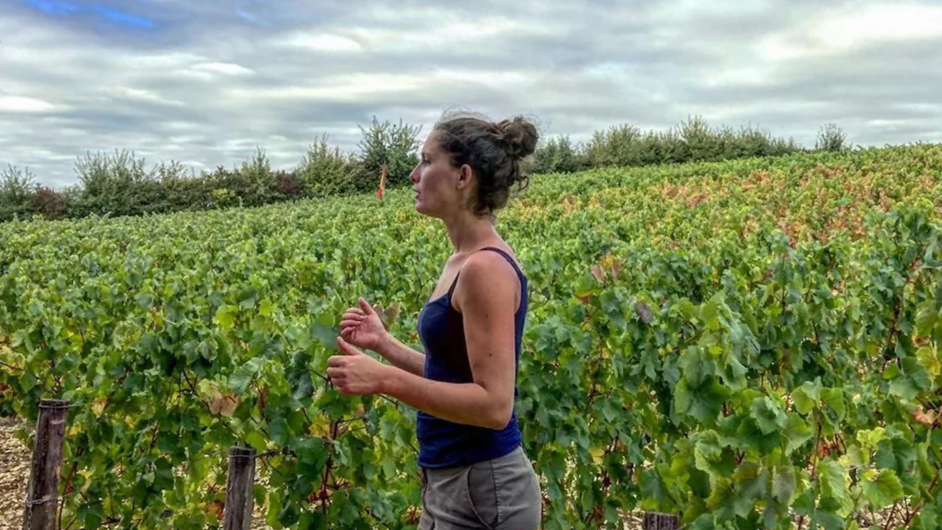 Raphaëlle: Burgundy's Young Visionary @ Solano Cellars April 12th