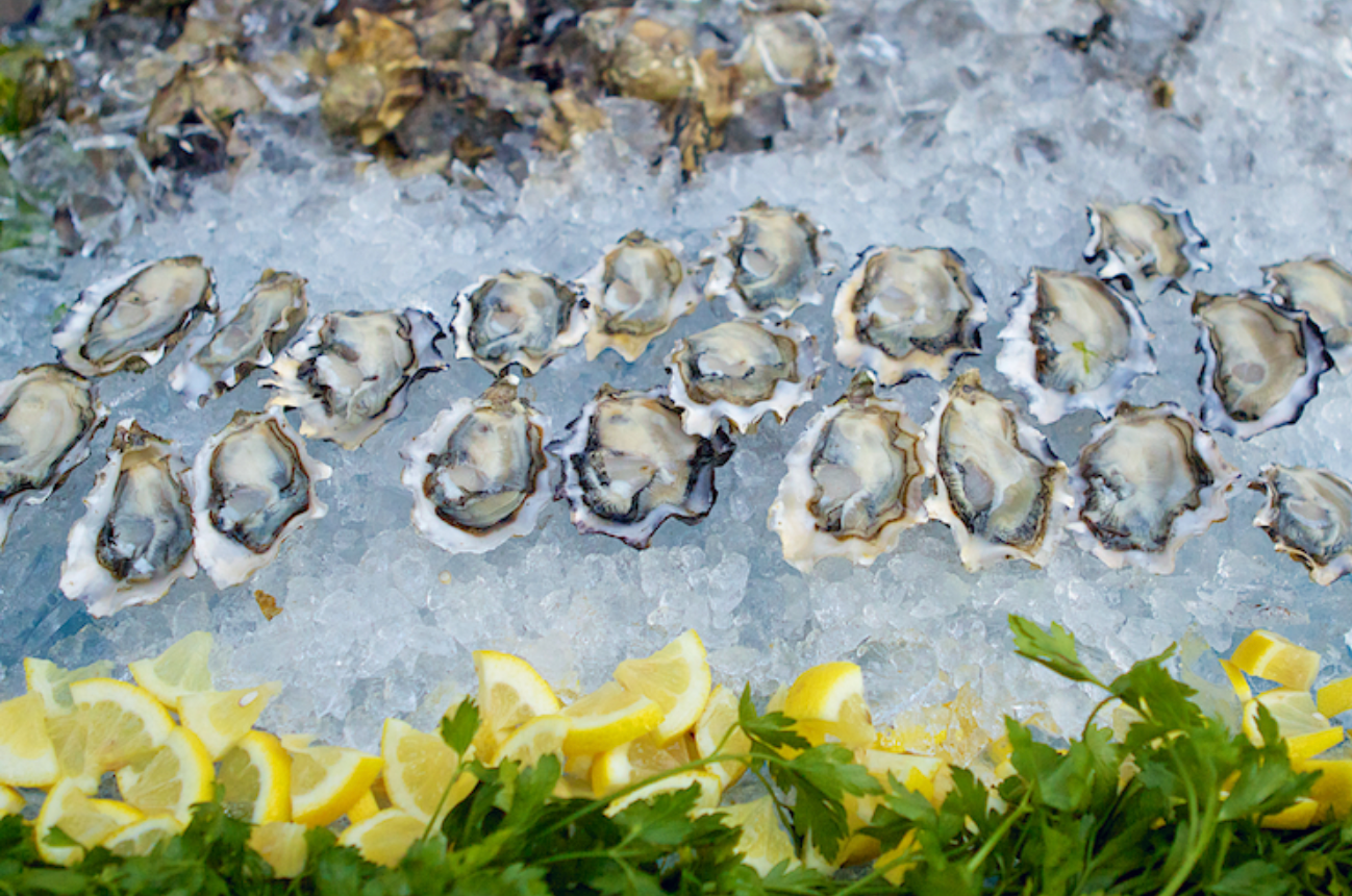 Lo-Fi Oysters, Live Jazz & Wine @ Vine St. Saturday, March 14th