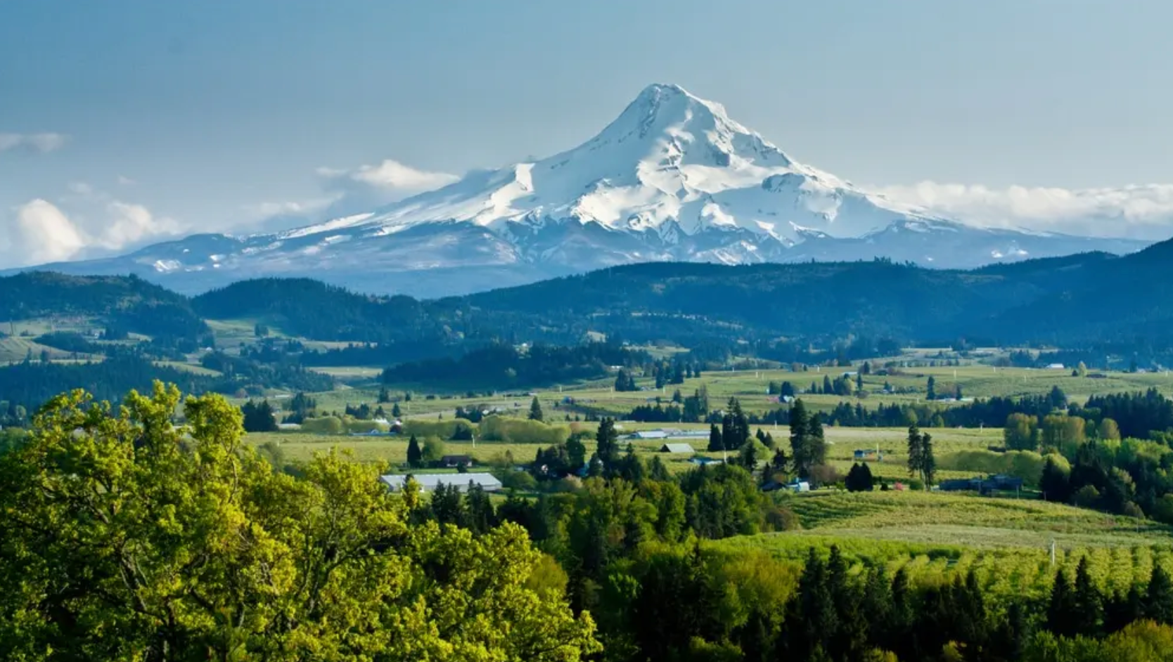 The Willamette Valley @ College Ave. Thursday, September 25th