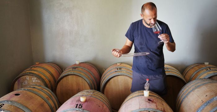 Contrada Passofonduto: The Central Sicilian Wines of Giuseppe Cipolla @ Elmwood April 13th