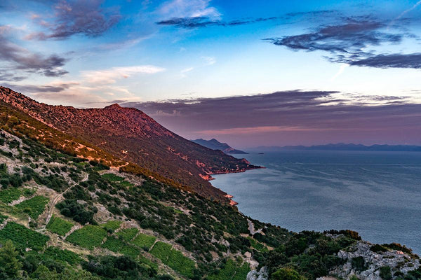 Croatian Vacation! July 30th at Elmwood - Vintage Berkeley 