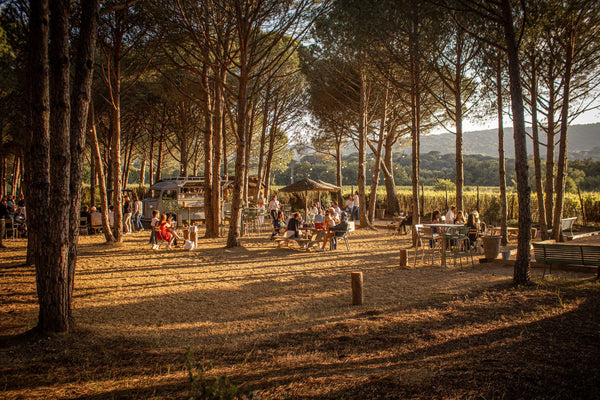 Fondugues Pradugues: Tasting the Natural Wines of St-Tropez @ Vine June 23rd