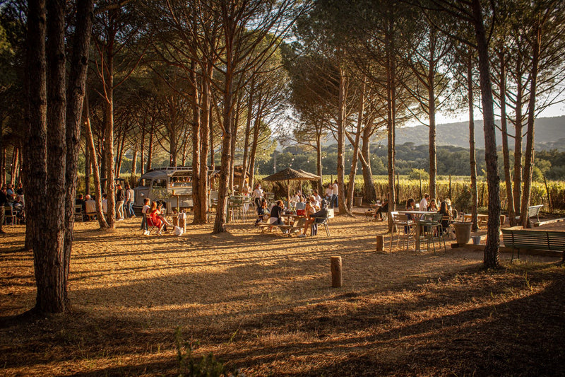 Fondugues Pradugues: Tasting the Natural Wines of St-Tropez @ Vine June 23rd