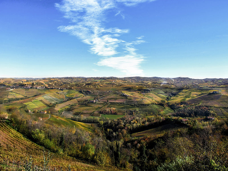 Barolo and more from Ferdinando Principiano @ Vine St October 12