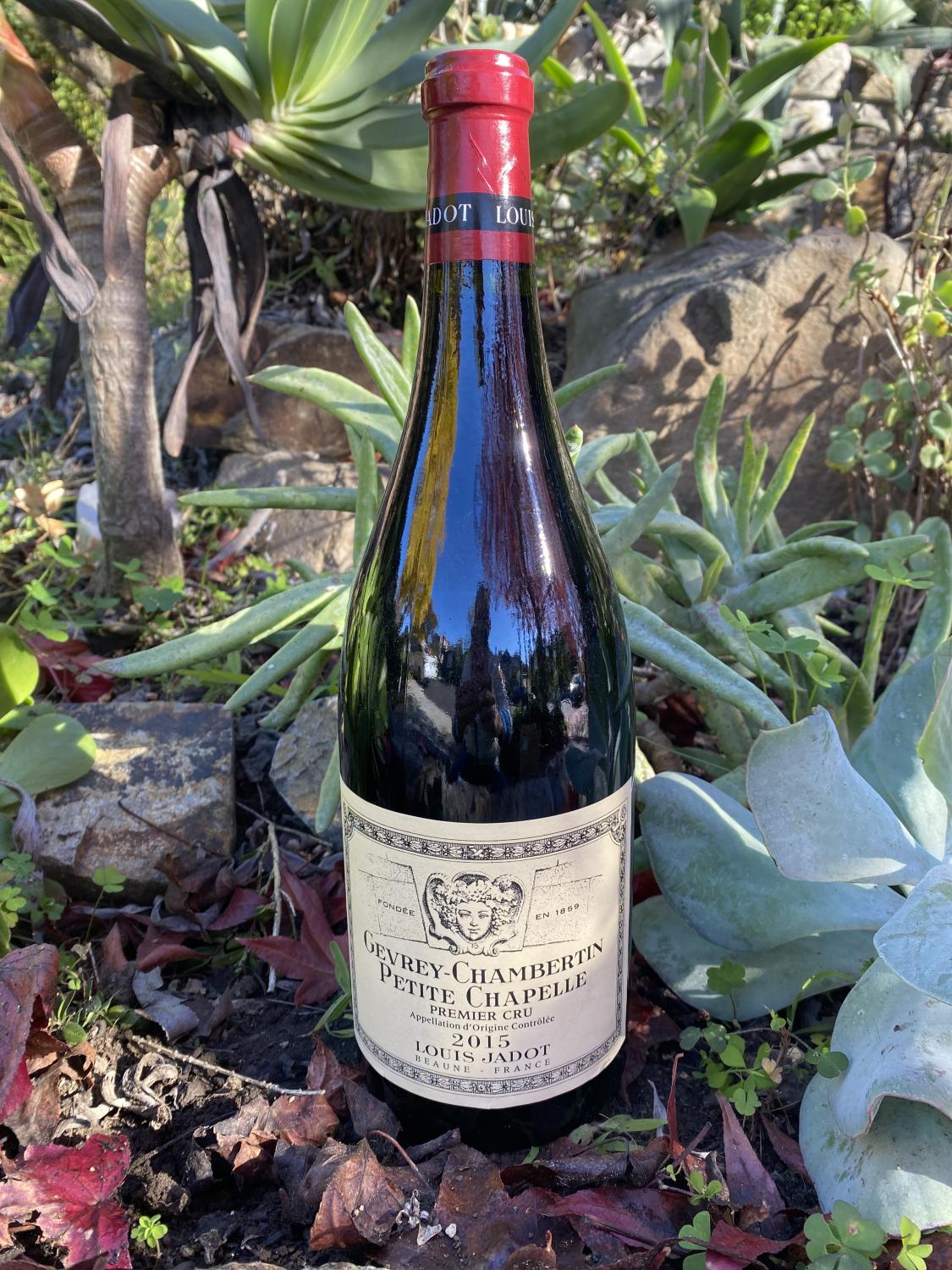 2015 Jadot Gevrey Chambertin 1er Cru Petite Chapelle 1.5L