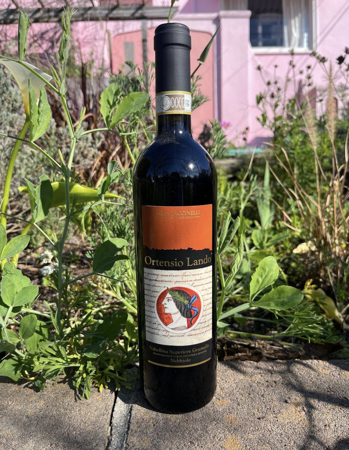 2019 Luca Faccinelli Ortensio Lando