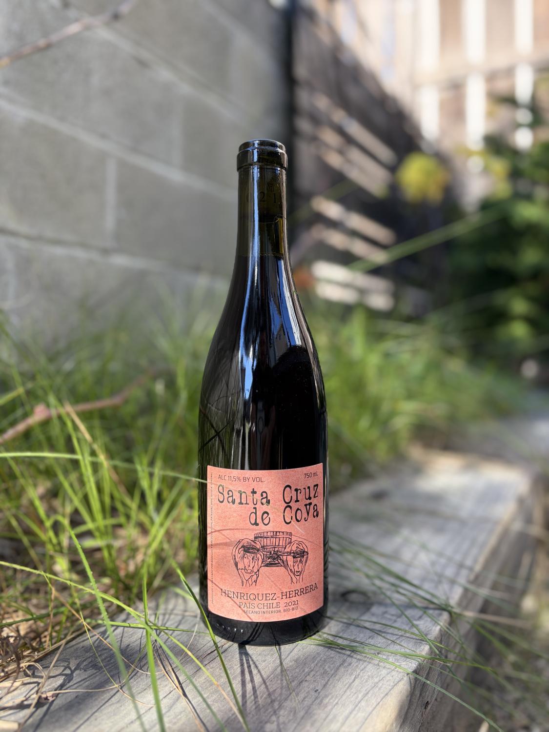 2021 Roberto Henriquez Santa Cruz de Coya Pais