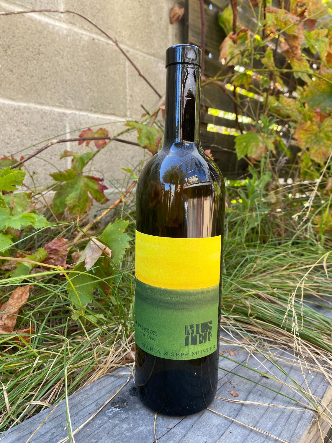 2021 Sepp Muster 'Graf Sauvignon' Sauvignon Blanc