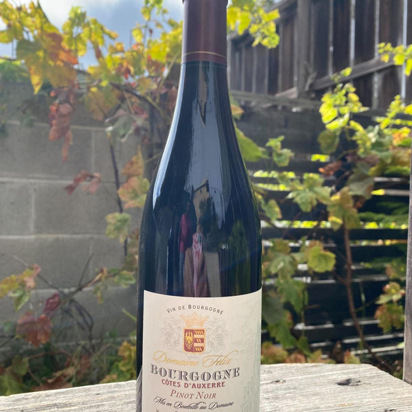 2022 Felix Auxerre Pinot Noir