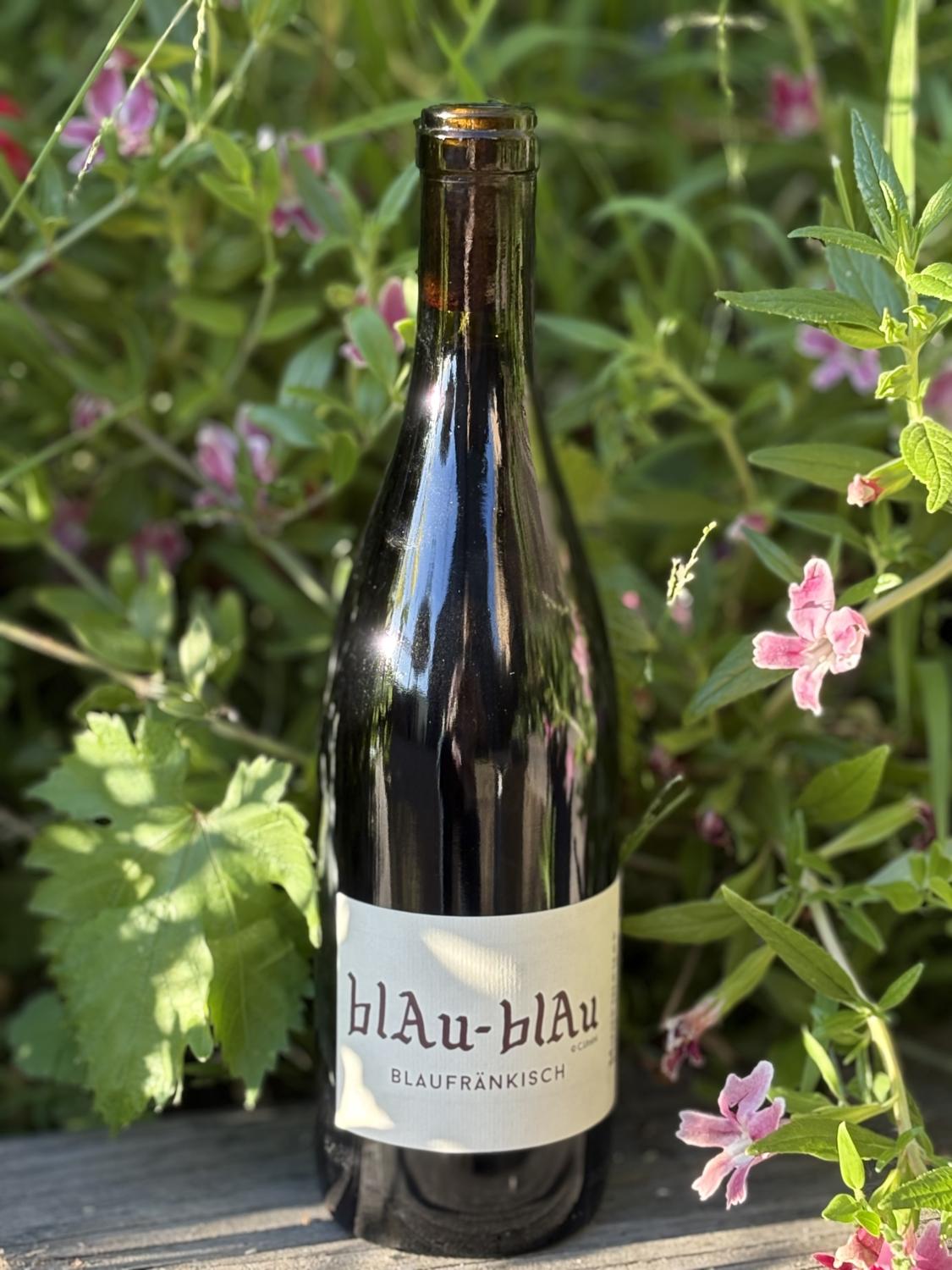 2023 Haarmeyer Blau-Blau Blaufrankisch