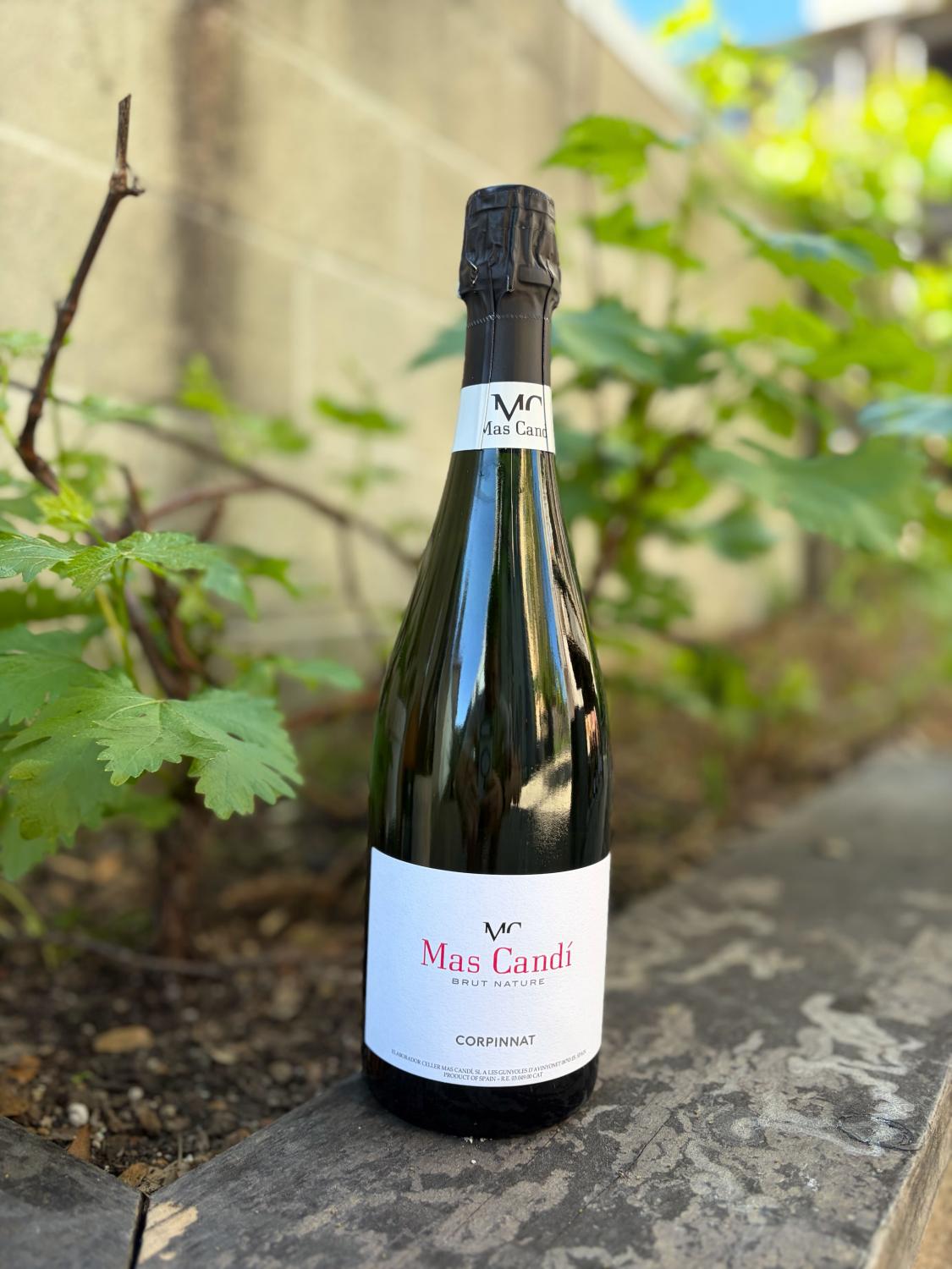2023 Mas Candí Brut Nature Corpinnat