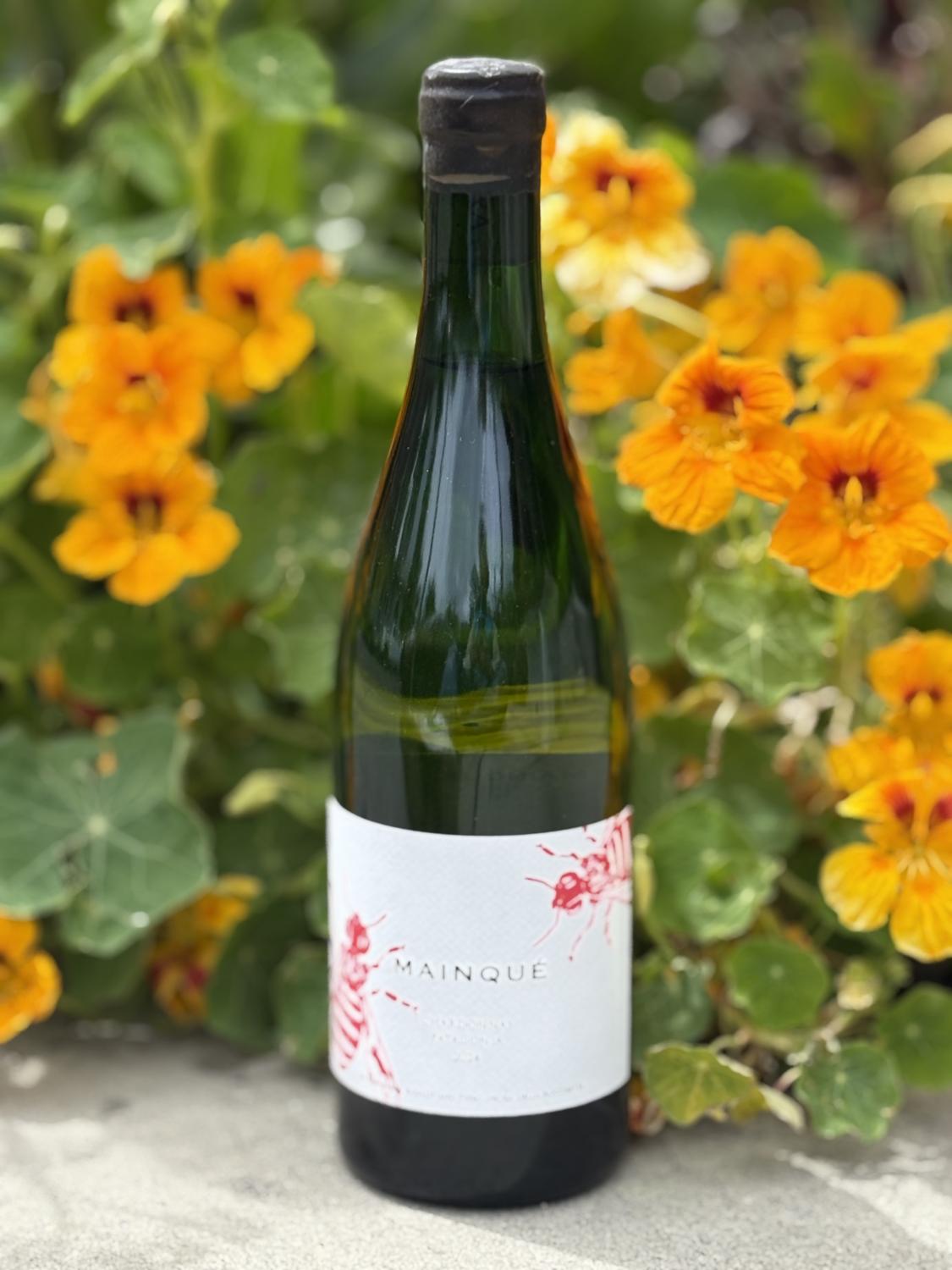 2024 Bodegas Chacra Mainque Chardonnay