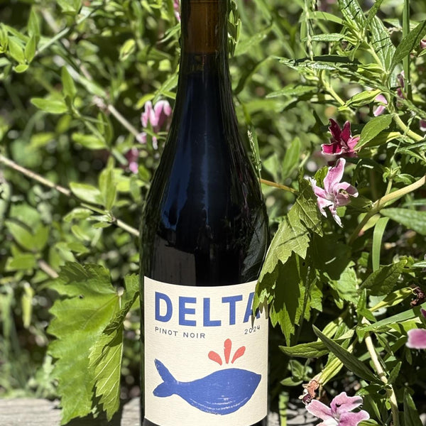 2024 Davis Wines 'Delta' Pinot Noir