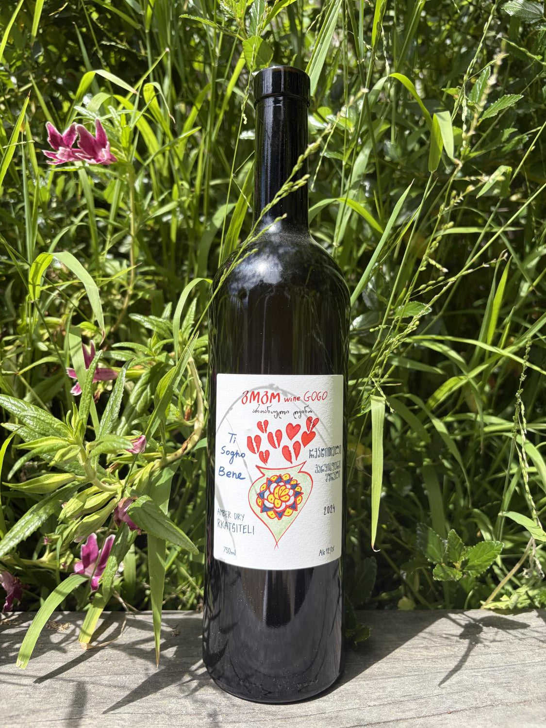 2024 Gogo Ti Sogno Bene Rkatsiteli