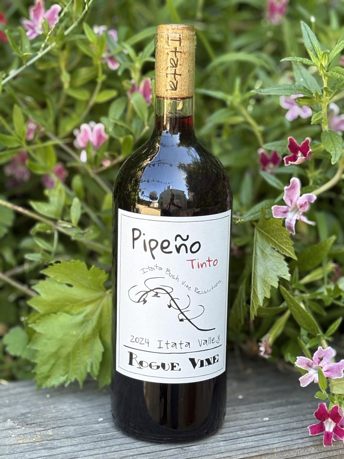 2024 Rogue Vine Pipeno Tinto 1L