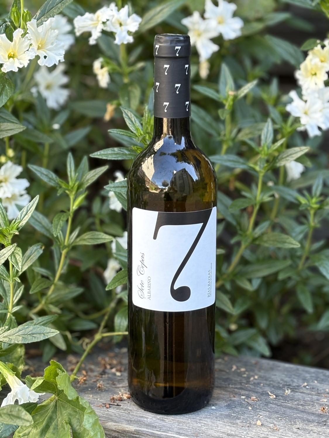 2024 Sete Cepas '7' Albarino