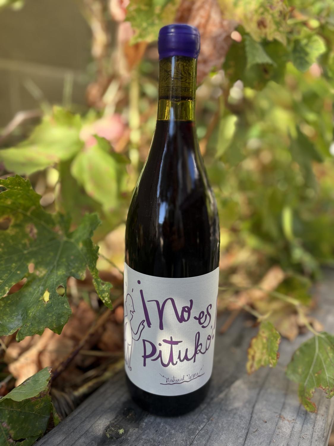 2024 Vina Echeverria No Es Pituko Carignan